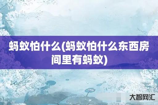 谁知道蚂蚁怕什么-蚂蚁怕什么东西房间里有蚂蚁-大智网汇