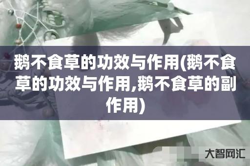 谁知道鹅不食草的功效与作用-鹅不食草的功效与作用,鹅不食草的副作用-大智网汇