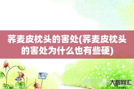 谁知道荞麦皮枕头的害处-荞麦皮枕头的害处为什么也有些硬-大智网汇