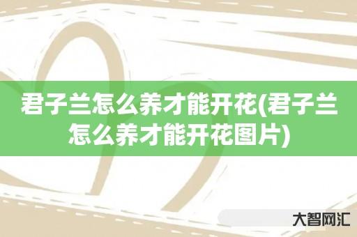给大家科普下君子兰如何养才能开花-君子兰如何养才能开花图片-大智网汇