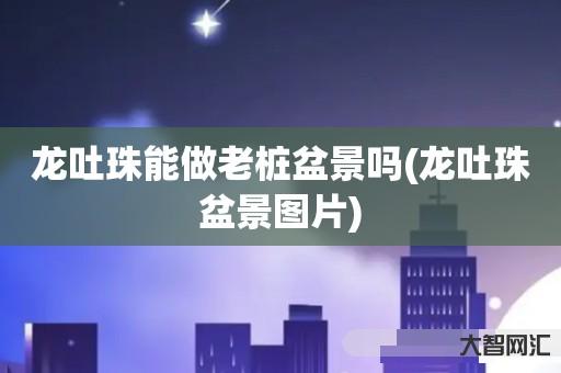 谁知道龙吐珠能做老桩盆景吗-龙吐珠盆景图片-大智网汇