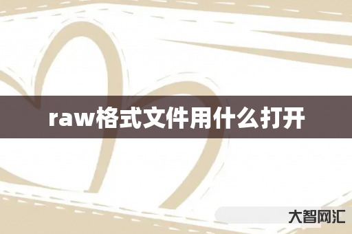 谁知道raw格式文件用什么打开-大智网汇