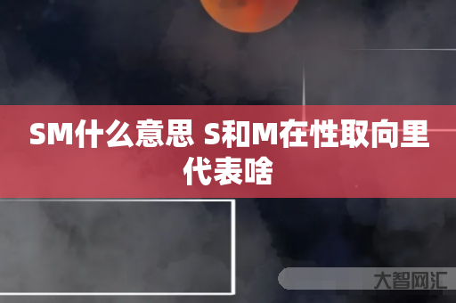 谁知道SM什么意思 S和M在性取向里代表啥-大智网汇
