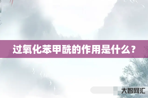 谁知道过氧化苯甲酰的作用是什么?-大智网汇