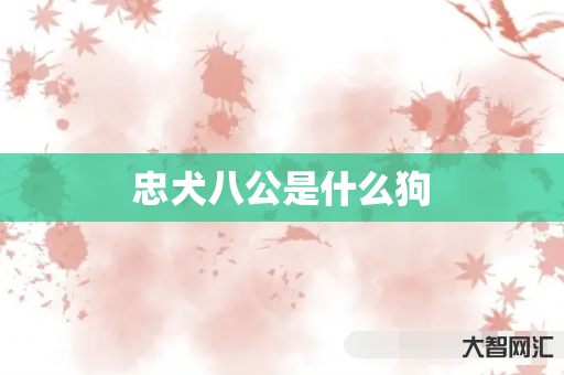 给大家科普下忠犬八公是什么狗-大智网汇
