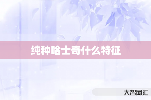 谁知道纯种哈士奇什么特征-大智网汇
