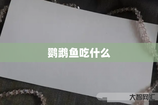 谁知道鹦鹉鱼吃什么-大智网汇