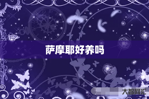 谁知道萨摩耶好养吗-大智网汇