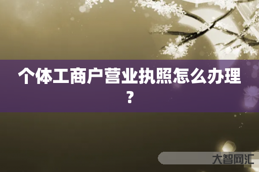 谁知道个体工商户营业执照怎么办理?-大智网汇