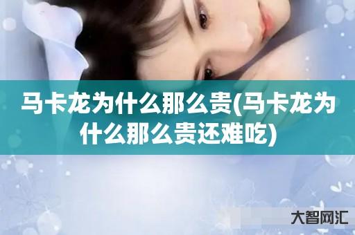 给大家科普下马卡龙为什么那么贵-马卡龙为什么那么贵还难吃-大智网汇
