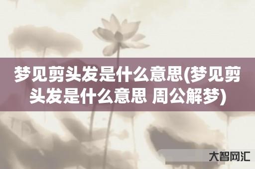 给大家科普下梦见剪头发是什么意思-梦见剪头发是什么意思 周公解梦-大智网汇