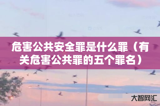 谁知道危害公共安全罪是什么罪-有关危害公共罪的五个罪名-大智网汇