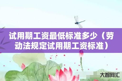 谁知道试用期工资最低标准多少-劳动法规定试用期工资标准-大智网汇