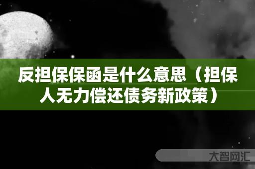 反担保保函是什么意思-担保人无力偿还债务新政策-大智网汇