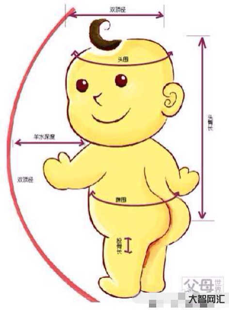 4、双劲9.0是什么意思?