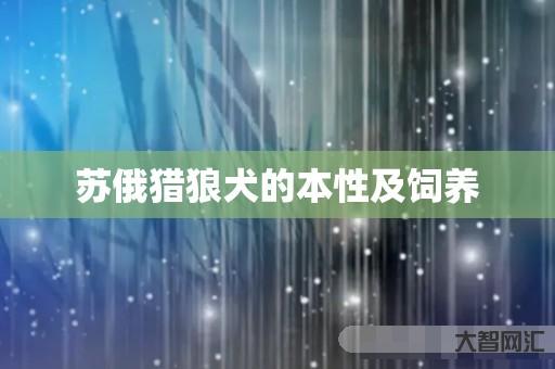 苏俄猎狼犬的本性及饲养 苏俄猎狼犬的本性及饲养