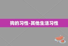 狗的习性-其他生活习性-大智网汇