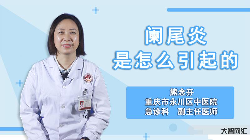 阑尾炎是什么原因造成的-阑尾炎是如何引起的?-大智网汇