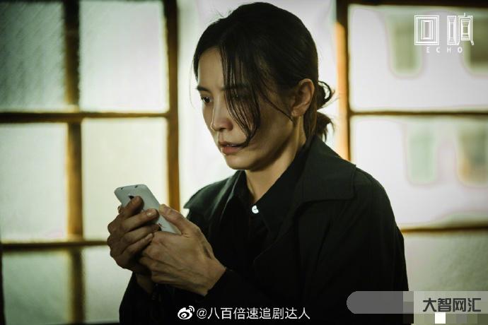 回响今晚开播-冯小刚新剧将播,宋佳饰演女警察,搭档王阳主演涉案剧《回响-大智网汇