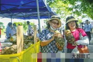 维生素D341.3-维生素别再瞎补,了解完这些维生素科普知识再说-大智网汇
