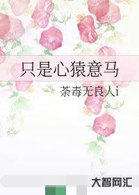 后来你遇到了一个良人,良人是什么意思?