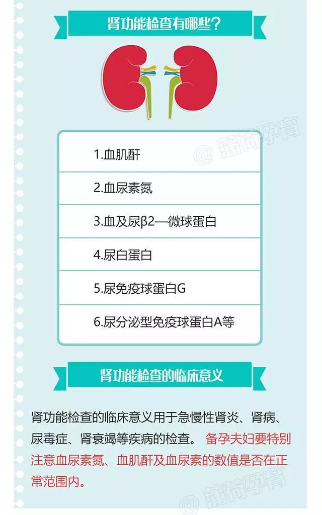 肾功能检查哪些项目-肾功能检查什么-大智网汇