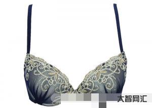 谁知道brassiere翻译一下，brassiere和bra区别