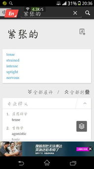 紧张的英文翻译