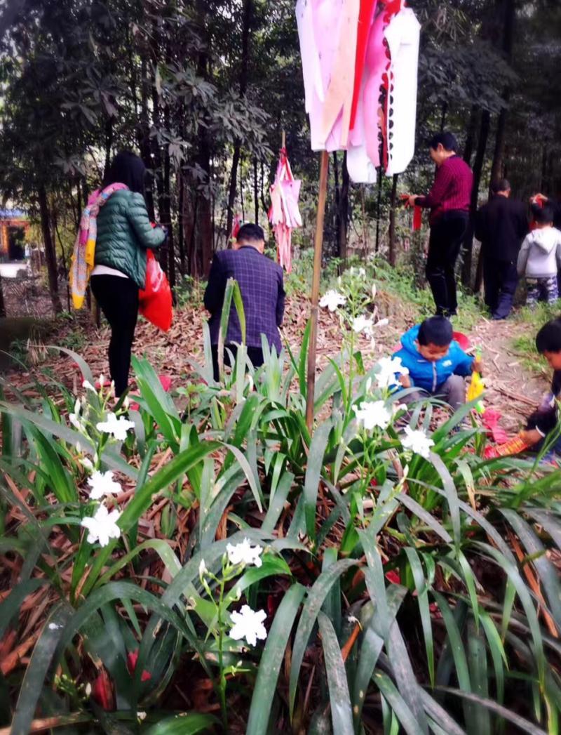 清明节闰二月能上坟吗-“闰月清明莫上坟,上坟祸事找上门”,今年清明不让 清明节闰二月能上坟吗-“闰月清明莫上坟,上坟祸事找上门”,今年清明不让