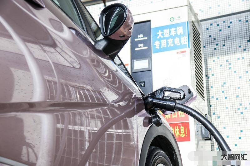 海豚快充100kw-涨价6000!11万起!新款比亚迪海豚上市!-大智网汇