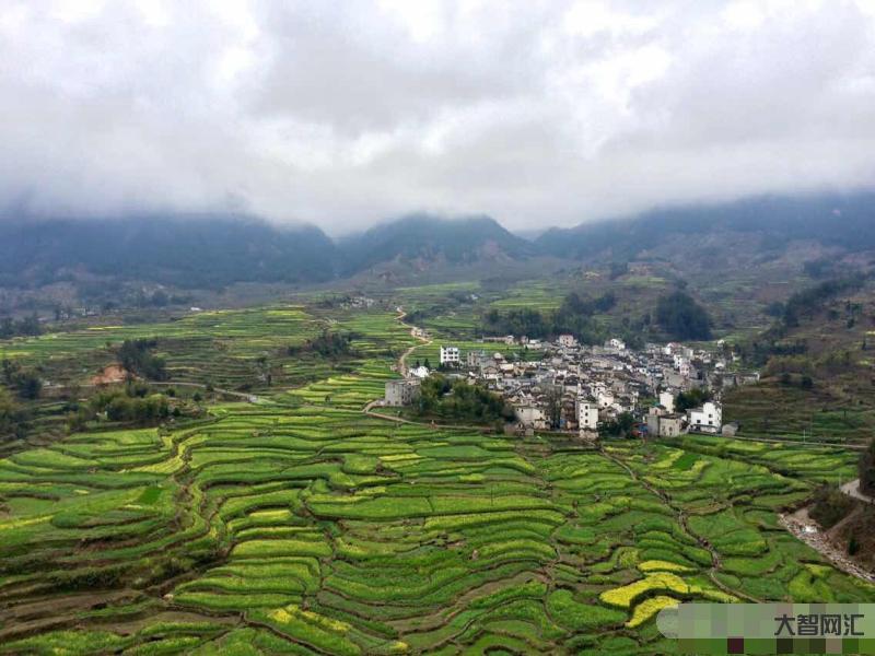 江西婺源旅游全面复苏-接待游客97.1万人次!“十一”黄金周婺源旅游大-大智网汇
