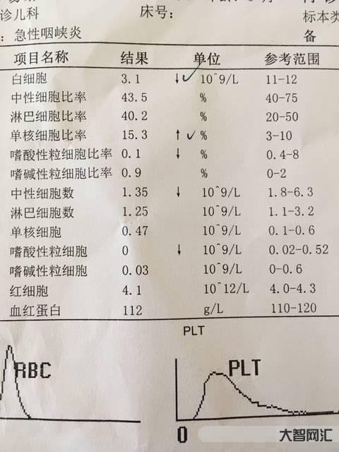 中性粒细胞偏高是什么意思-中性粒细胞百分比偏高淋巴细胞偏低-大智网汇