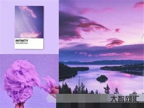 给大家科普下violet叫什么颜色(violet叫什么颜色如何读) 给大家科普下violet叫什么颜色(violet叫什么颜色如何读)