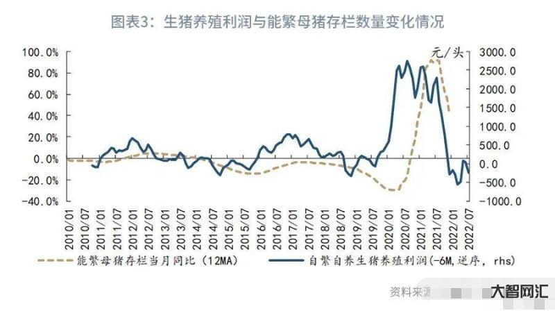 2023年3月8日生猪价格-2023年3月8日全国各地最新猪肉价格行情-大智网汇