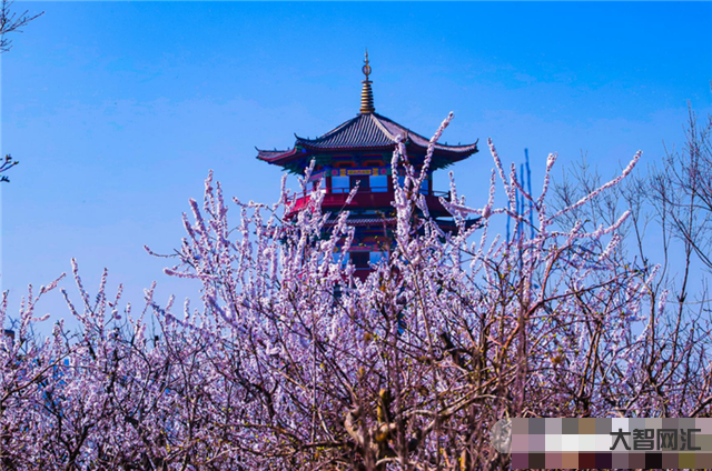 新疆三月初春天气如何-这场冷空气过去 春天将扑面而来-大智网汇