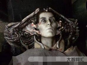 给大家科普下普罗米修斯3上映时间(普罗米修斯3上映时间现在的海盗是)-大智网汇