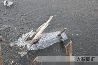给大家科普下如履薄冰意思叫什么意思恪尽职守,如履薄冰 叫什么意思 给大家科普下如履薄冰意思叫什么意思恪尽职守,如履薄冰 叫什么意思