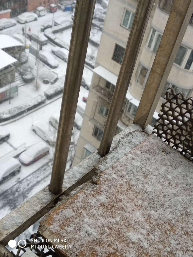 19年第一次见下雪-雪落下 月无瑕!终于等到你,2019第一场雪-大智网汇