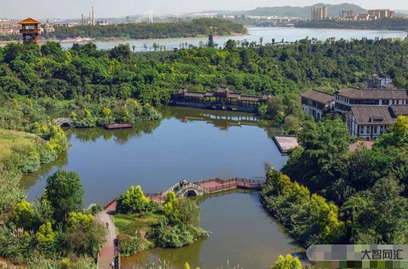 张坝桂圆林-“桂圆来了”2018年第五届张坝桂圆文化节 张坝桂圆林-“桂圆来了”2018年第五届张坝桂圆文化节