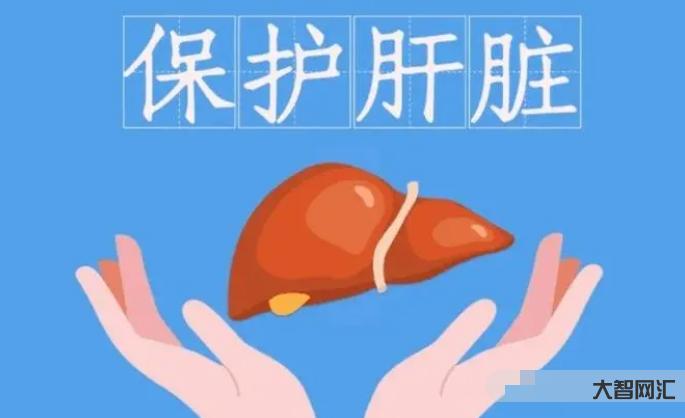 保肝护肝吃什么?一般什么年纪需要注意肝脏的保护?有没有中药比较有效果