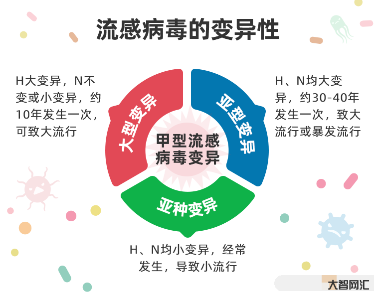 甲流是甲型流感病毒吗-什么是甲流有哪些症状?如何有效预防甲流?现在接种-大智网汇