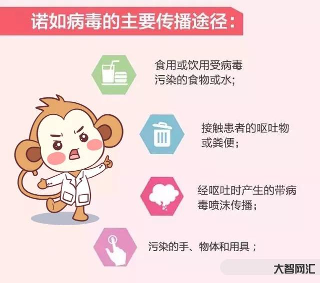 诺如病毒是什么病-关于诺如病毒的资料 诺如病毒怎么回事-大智网汇