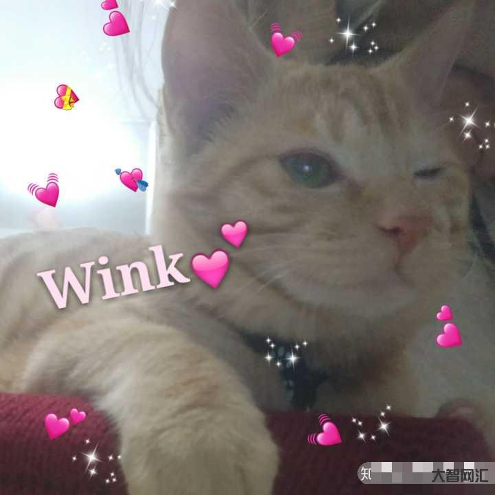 wink是什么意思-女生发个wink什么意思-大智网汇