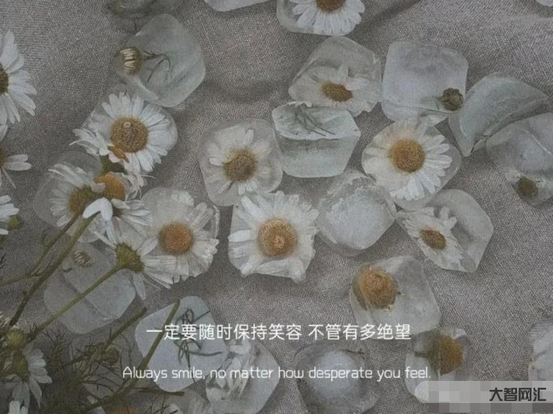 最热真实文案句子-发在朋友圈会被秒赞的文案-大智网汇