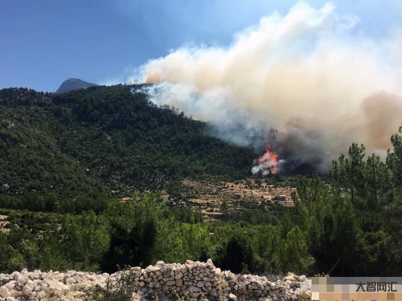 东北山火持续了多久啊-美加州山火持续燃烧 多地区华人担忧夜不能眠 东北山火持续了多久啊-美加州山火持续燃烧 多地区华人担忧夜不能眠