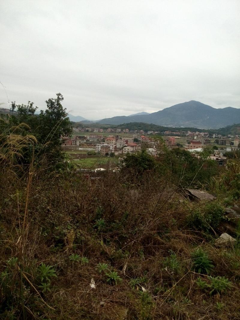 天气预报泉州市南安市-预警!南安未来几天的天气将改变 天气预报泉州市南安市-预警!南安未来几天的天气将改变