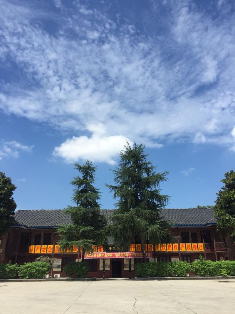 益阳4月7日天气-桃江:四级人大代表带头种植双季稻逾万亩-大智网汇