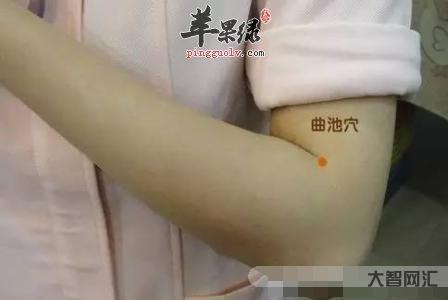 曲池的准确位置图-国医大师吕景山对穴:疏风解表清热类 合谷—曲池-大智网汇