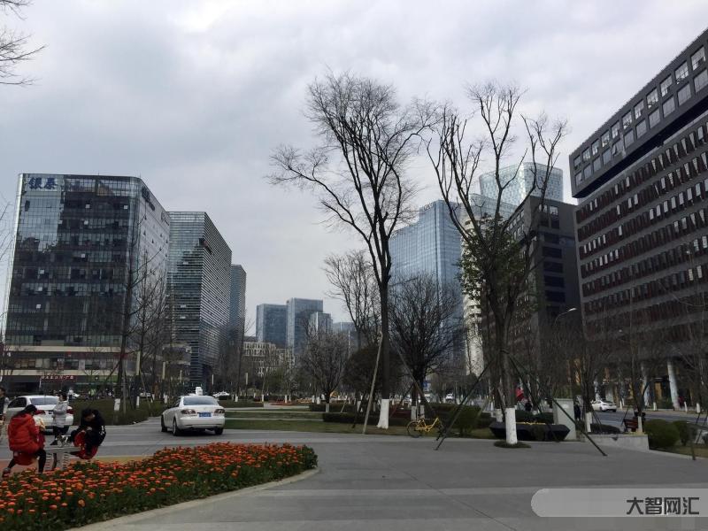 成都目前城建如何-武汉与成都城建对比