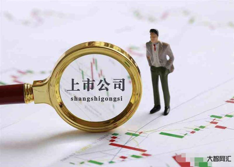 什么样公司为上市公司-干货 | 快速读懂一家上市公司只需这五步-大智网汇